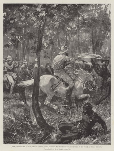 The Matabili and Mashona Revolt, Grey
